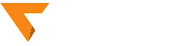 VFZ International